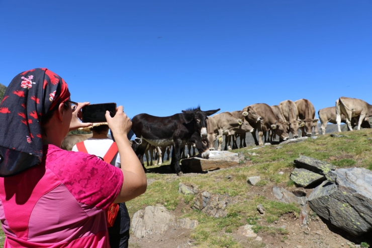 Una turista fa una foto durant una ruta guiada pel parc natural de Sorteny.