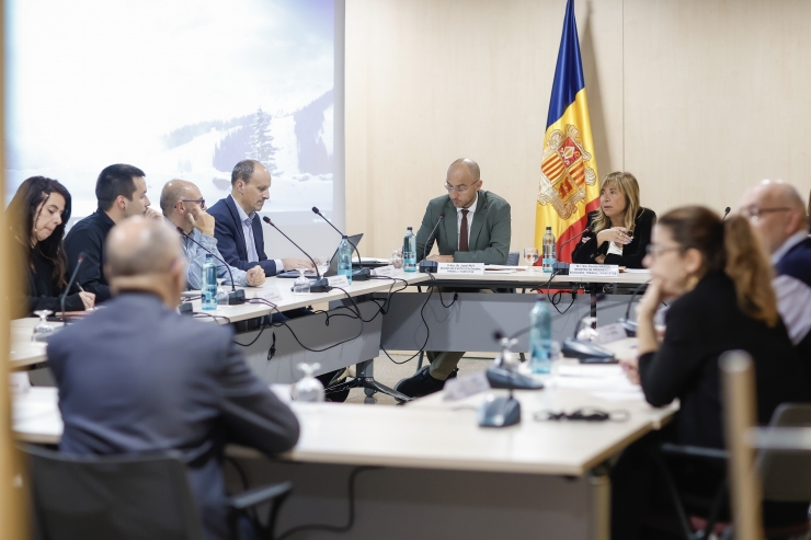 Una reunió del consell econòmic i social.