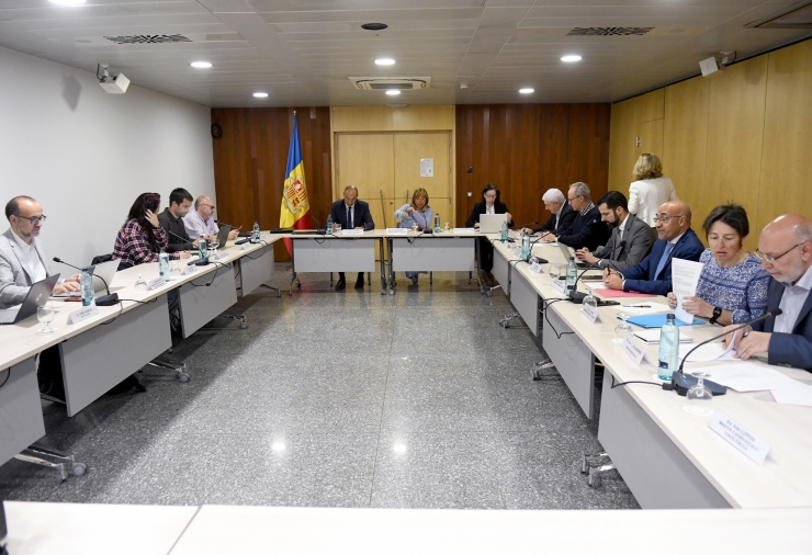 Un moment del consell econòmic i social (CES) celebrat aquest dimarts.