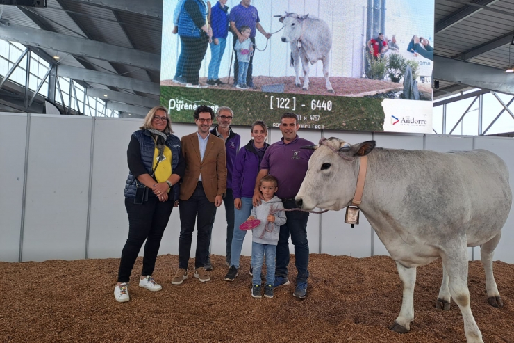 El ministre de Medi Ambient, Agricultura i Ramaderia, Guillem Casal, en la seva visita a la fira agrària i ramadera 'Les Pyrénéennes' amb una vaca de raça bruna d'Andorra.