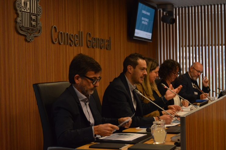 El president de la comissió gestora del fons de reserva de jubilació (FR), Jordi Cinca i el president de la CASS, Marc Galabert, durant la  compareixença al Consell General.